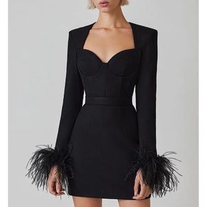 Feather Bodycon Mini Dress